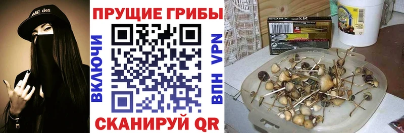 Галлюциногенные грибы Cubensis Артёмовск